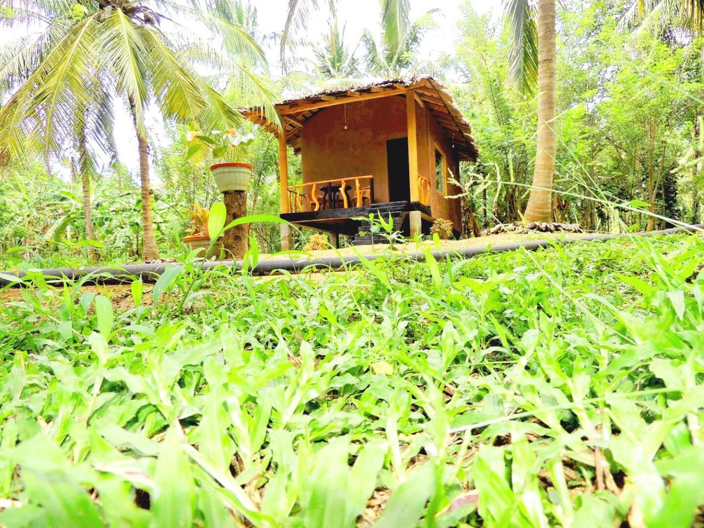 Milk House Cottage Udawalawe Eksteriør bilde