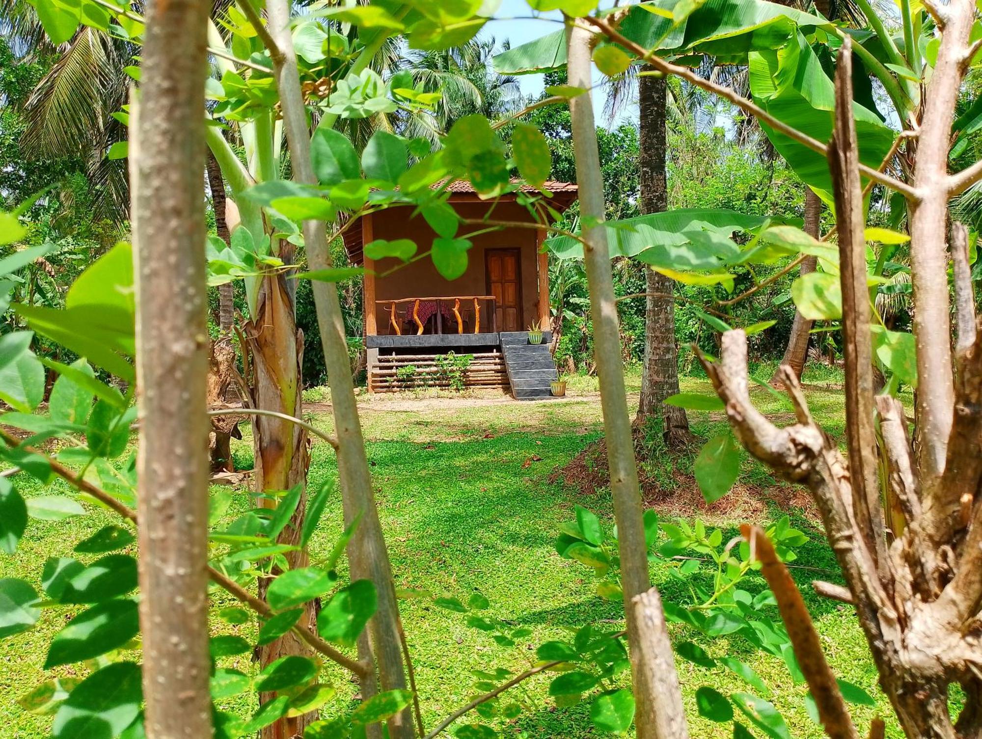 Milk House Cottage Udawalawe Rom bilde